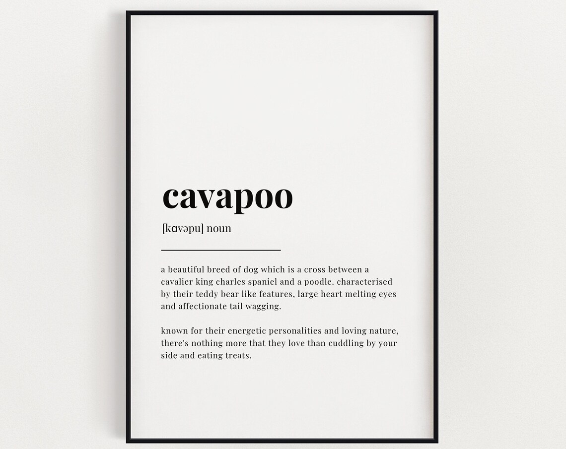 Cavapoo Definition Meaning, Home Decor Art Print