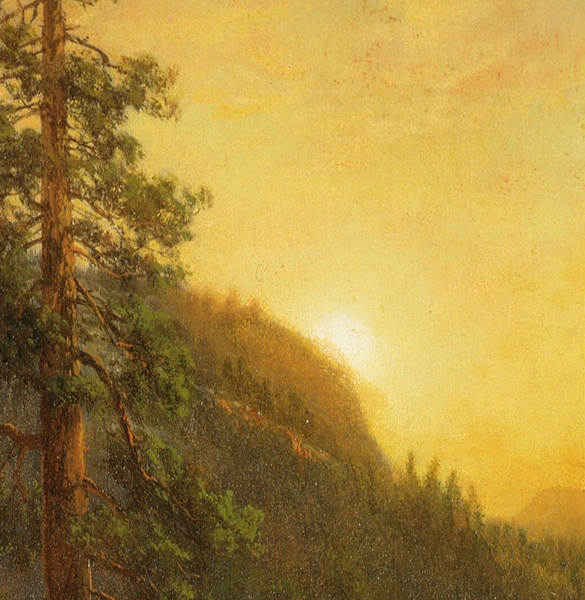 Albert Bierstadt California Redwoods Tall Pines Sunset Glow Wall Art - Image 3