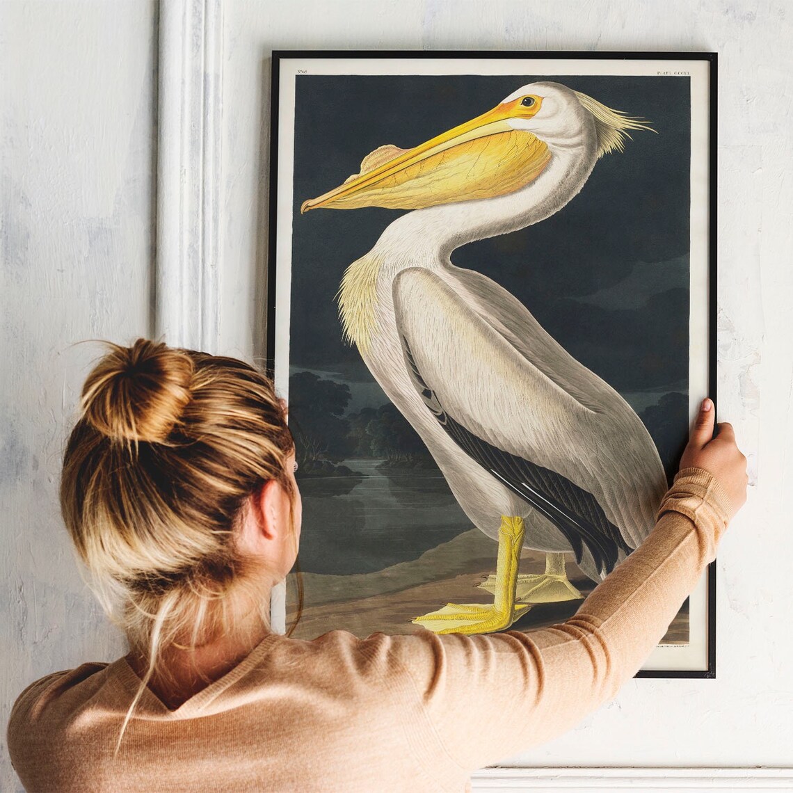 Pelican Antique Bird Painting Vintage Art Print - Image 2