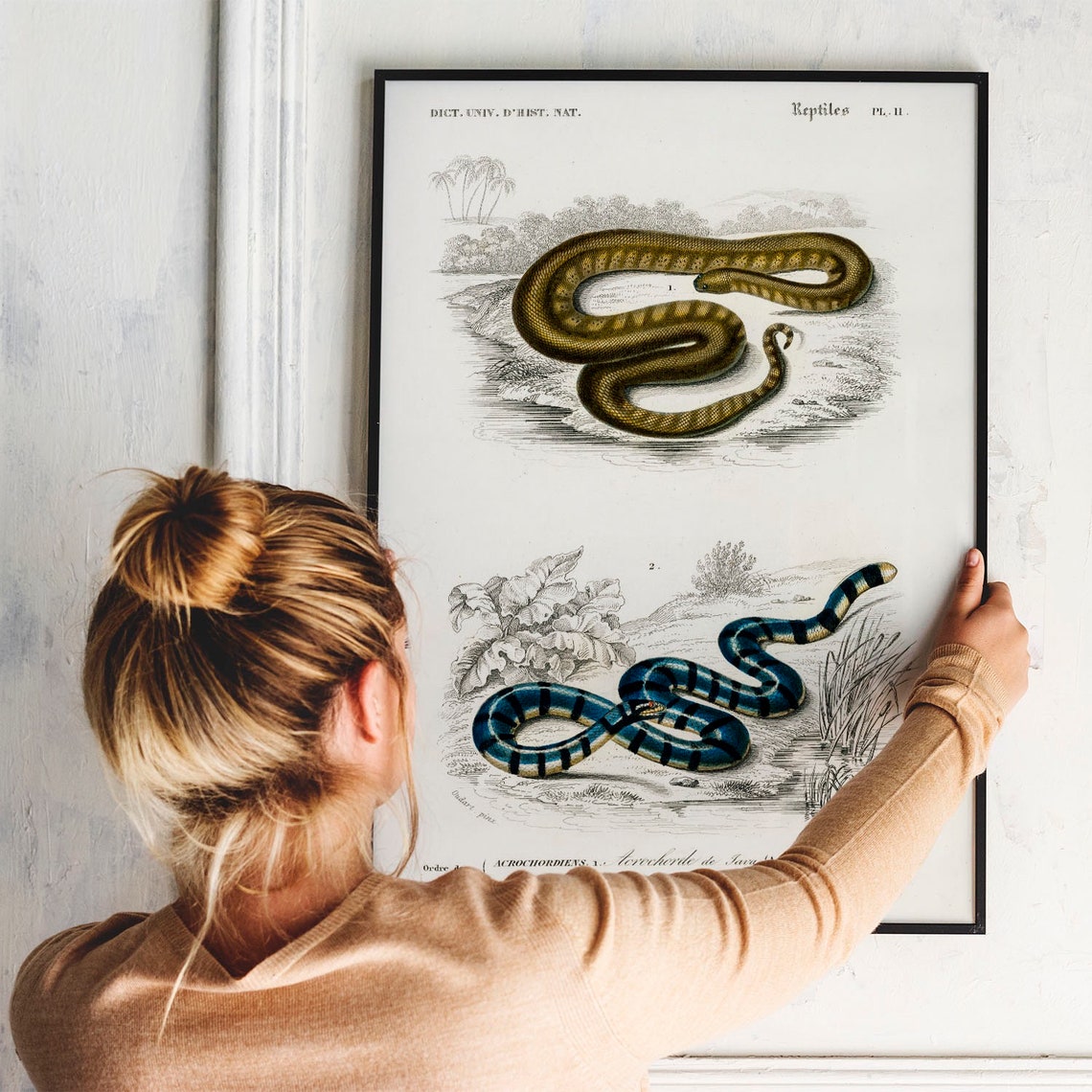 Vintage French Reptiles Snake Chart Natural History Art Print - Image 3