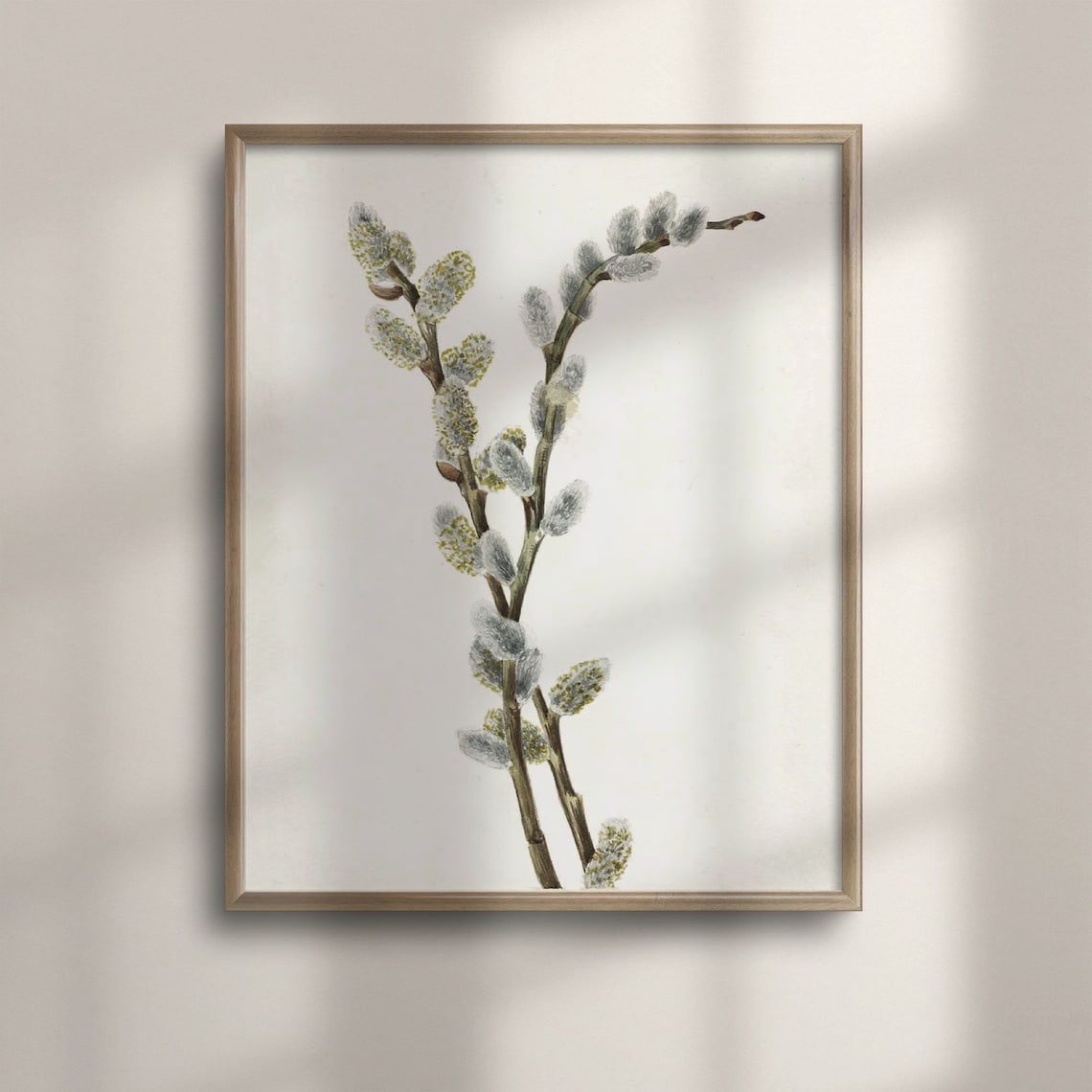Vintage Botanical Roses Art Print, Rustic Farmhouse Decor