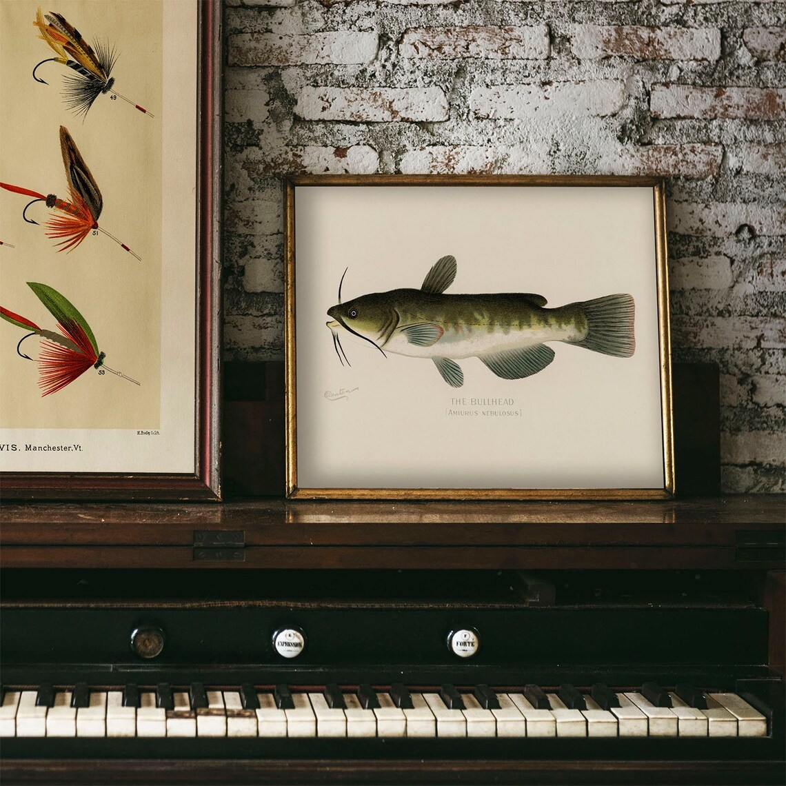 Bullhead Fish Vintage Fishing Poster, Fish Drawing - Image 4