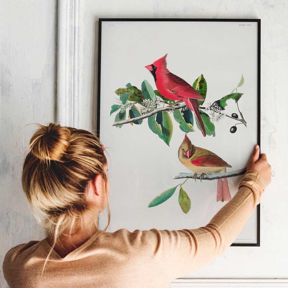 Cardinal Grosbeak Antique Bird Painting, Vintage Art Print - Image 3