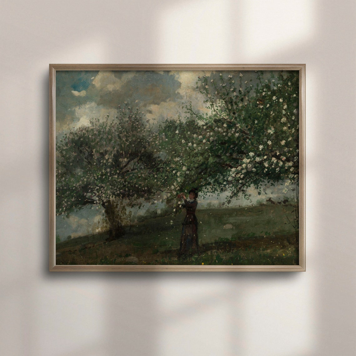 Woman Picking Blossoms Under a Flowering Tree Vintage Poster