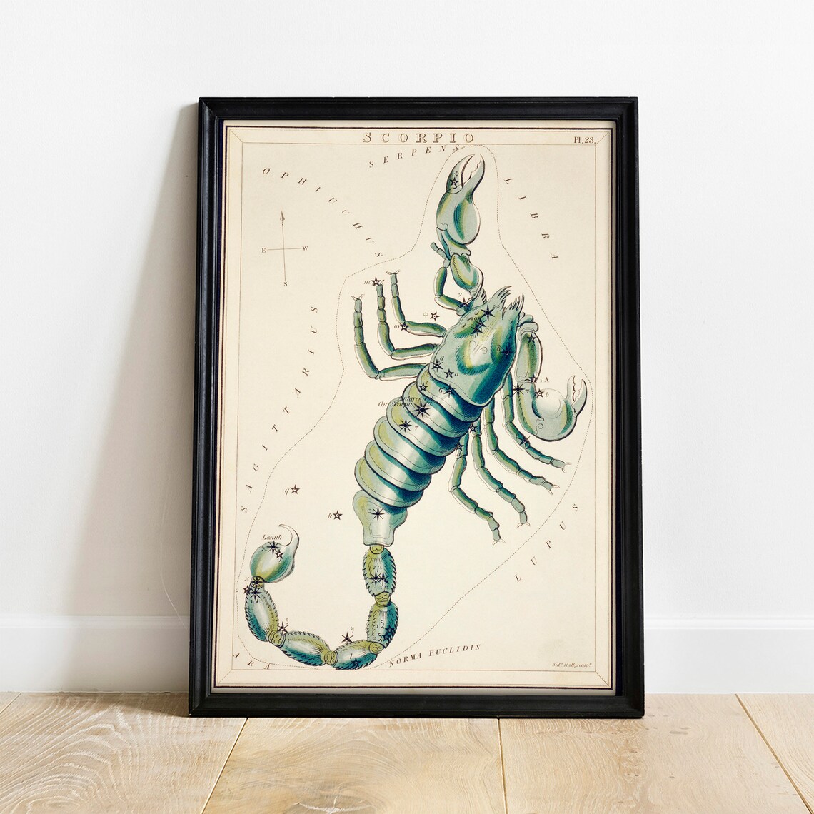 Scorpio Antique Space Painting Vintage Art Print