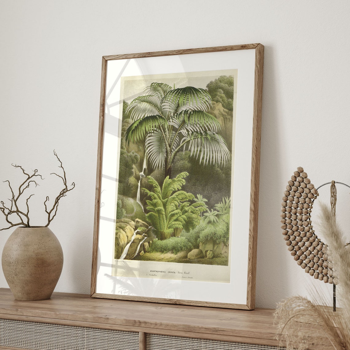 Antique Palm Tree Botanical Illustration Vintage Jungle Plant Poster - Image 4