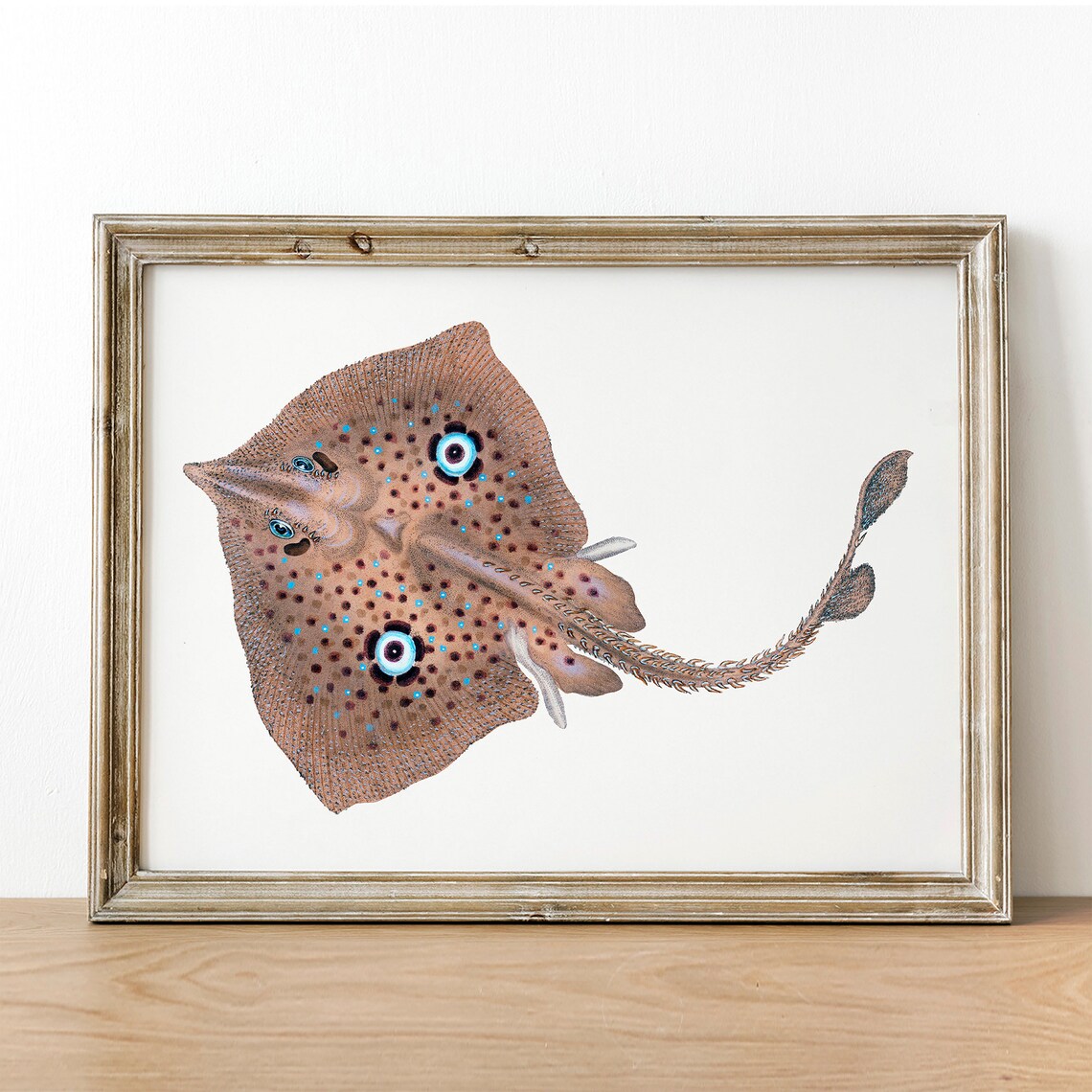 Fish Illustration Ray Fish Vintage Fishing Poster
