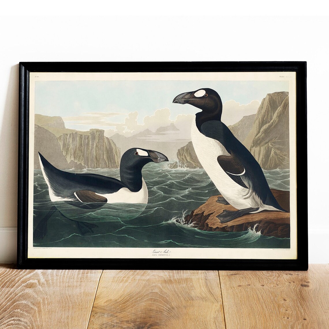 Great Auk Antique Bird Painting, Vintage Poster Print