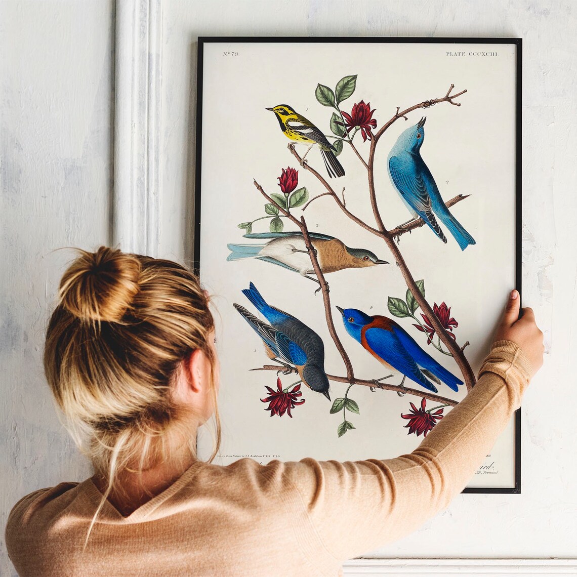 Arctic Blue Bird Vintage Bird Portrait Art Print - Image 3
