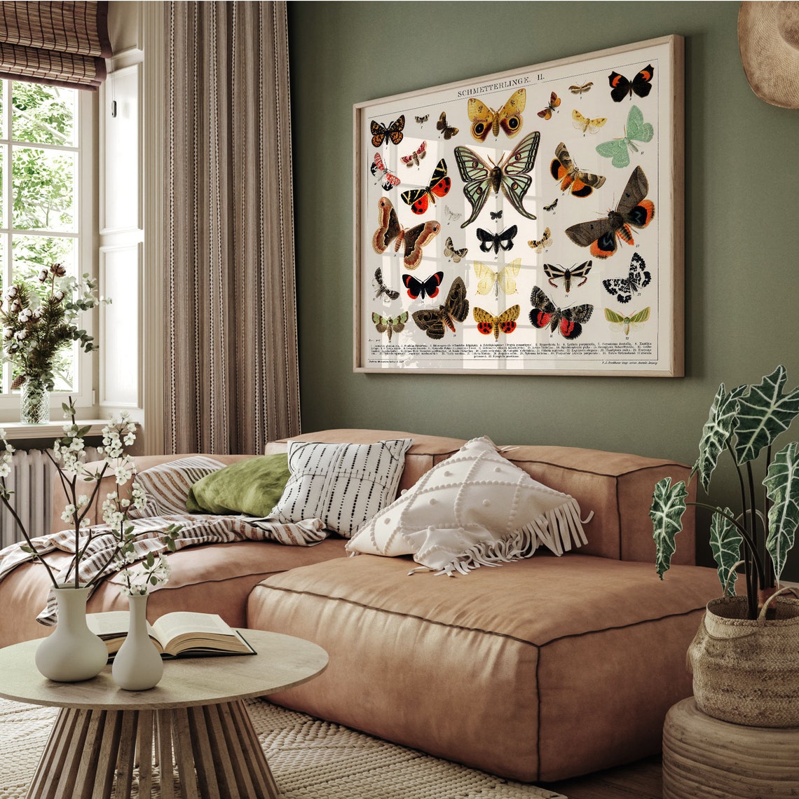Antique Butterfly and Moth Scientific Chart Vintage Botanical Poster - Image 2