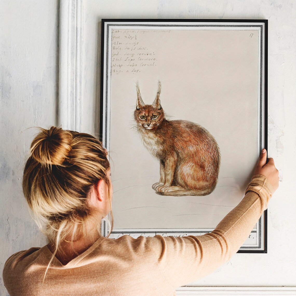 Lynx Print, Vintage Zoology Wall Art Poster - Image 3