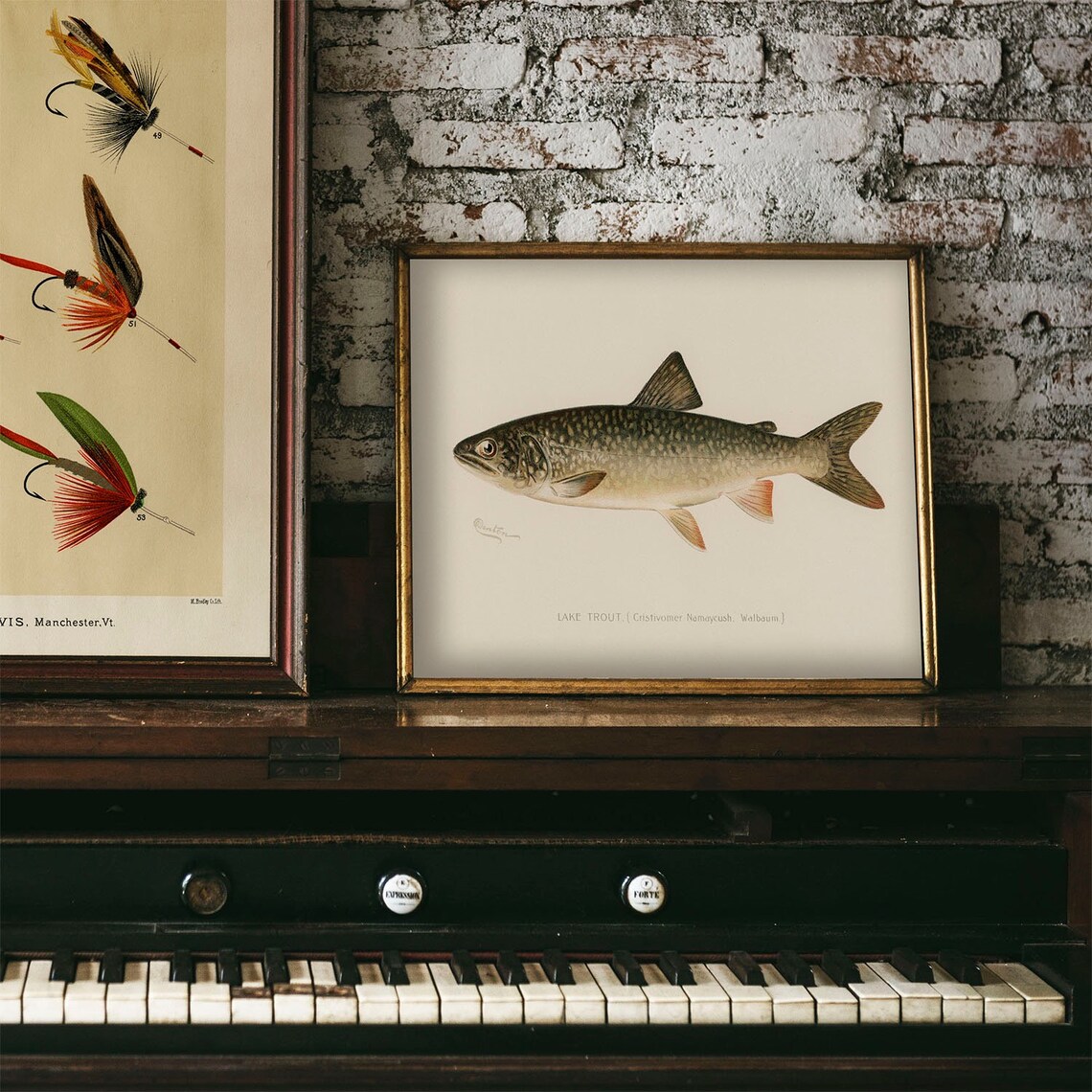 Lake Trout Vintage Fishing Poster Art Print - Image 4