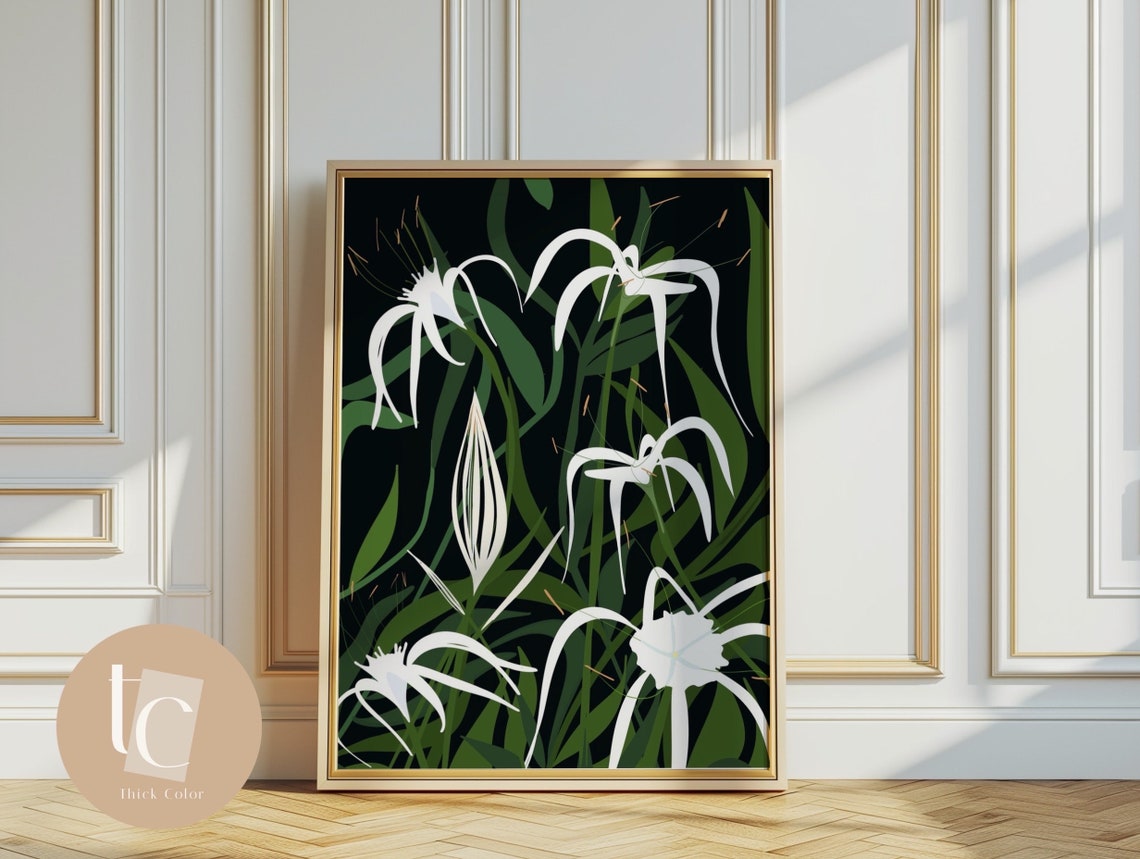 White Spider Lily Botanical Illustration on Black Background Poster