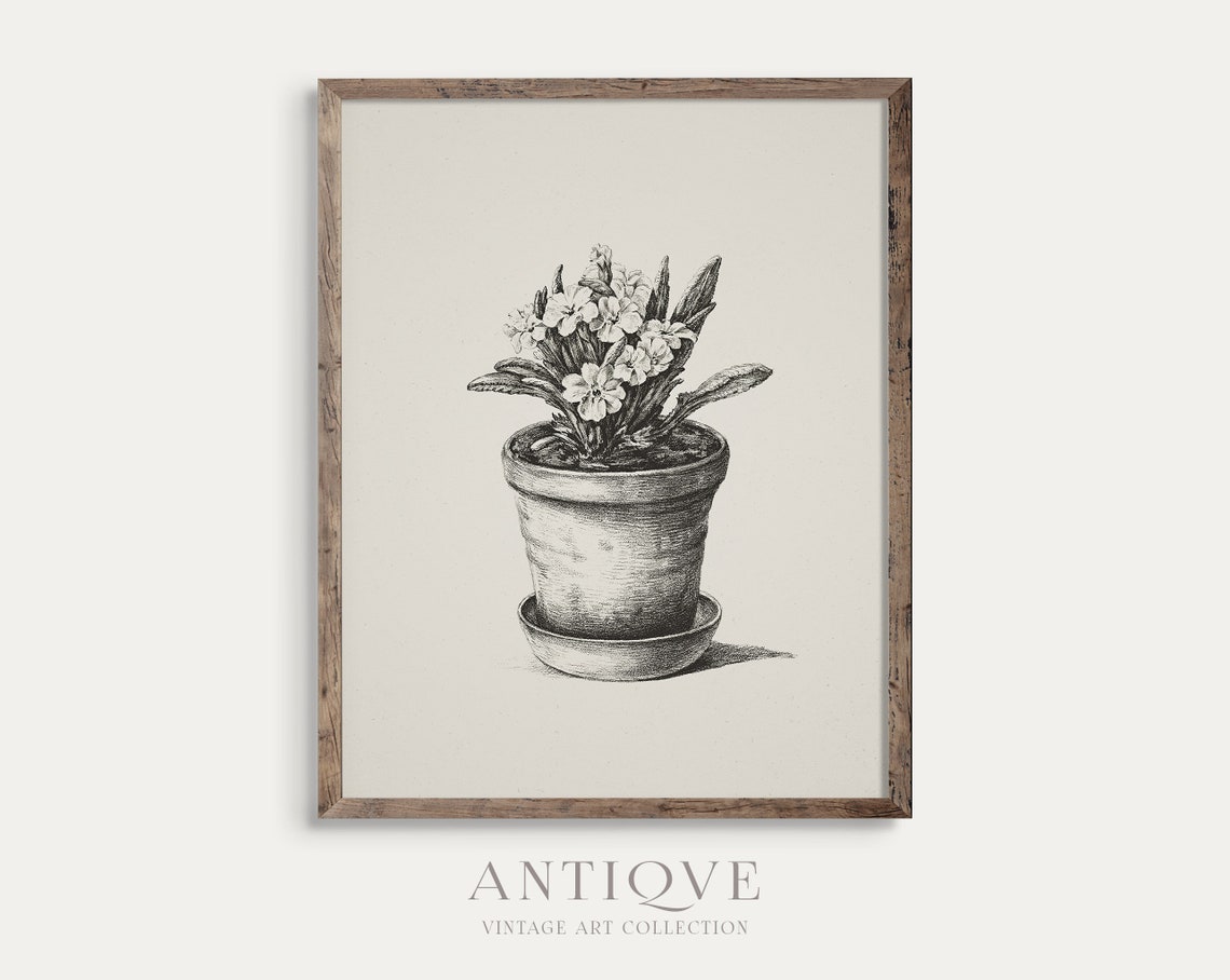 Potted Flower Plant Vintage Pencil Sketch Botanical Farmhouse Print - Image 4