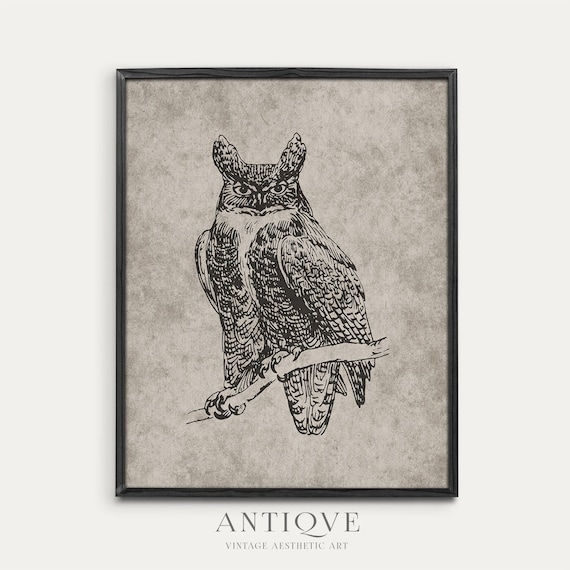 Great Horned Owl Branch Vintage Engraving Wildlife Art Poster