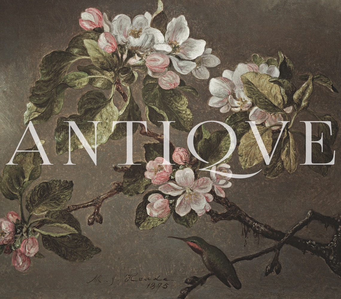 Martin Johnson Heade Apple Blossoms Hummingbird Painting Poster - Image 4