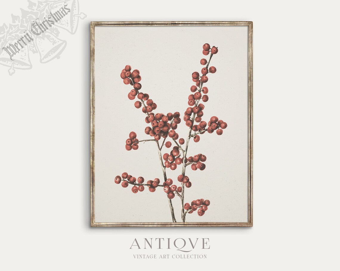 Winterberry Branch Sketch Print, Rustic Christmas Art - Image 2