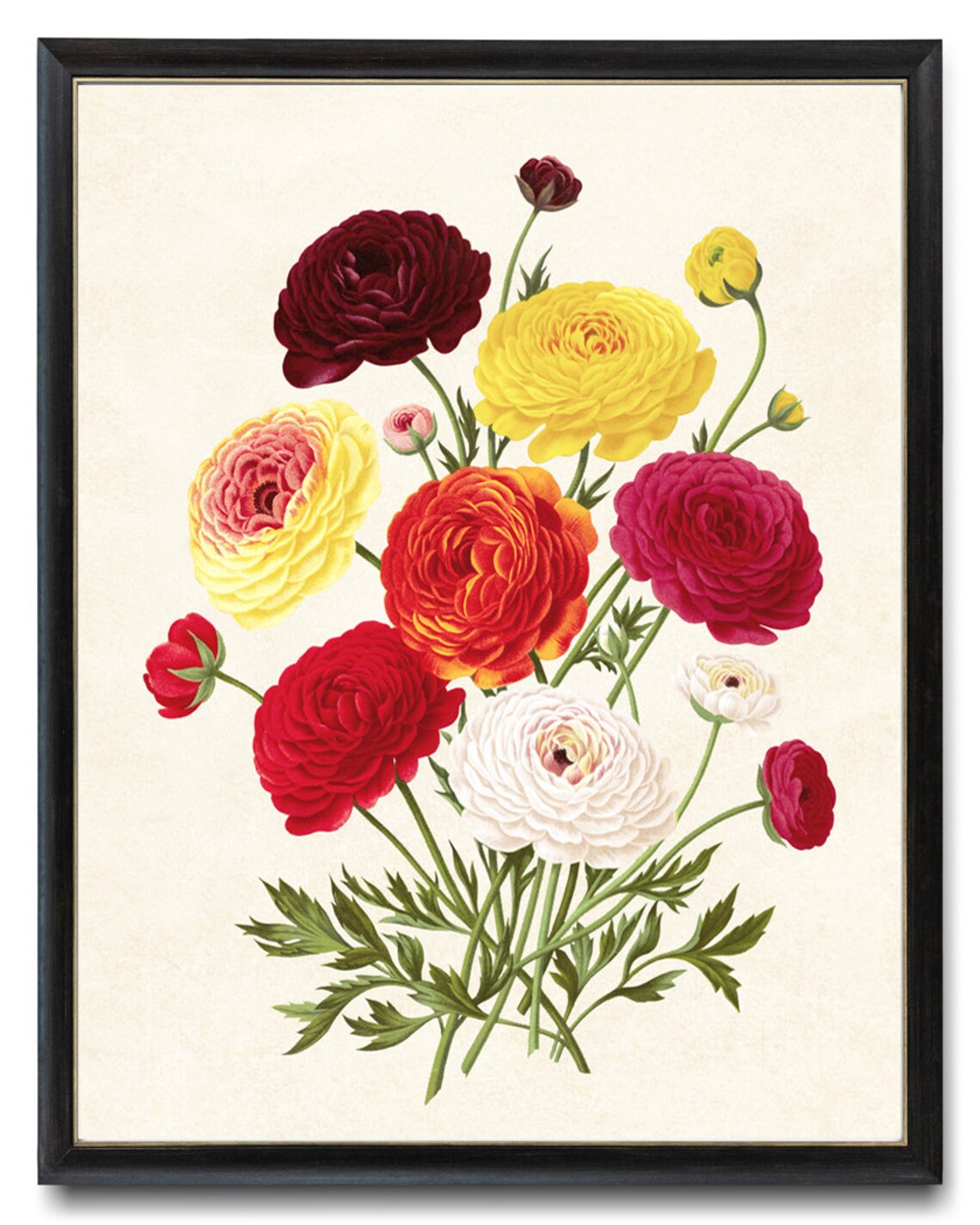 Autumn Floral Vintage Ranunculus Bouquet Art Print