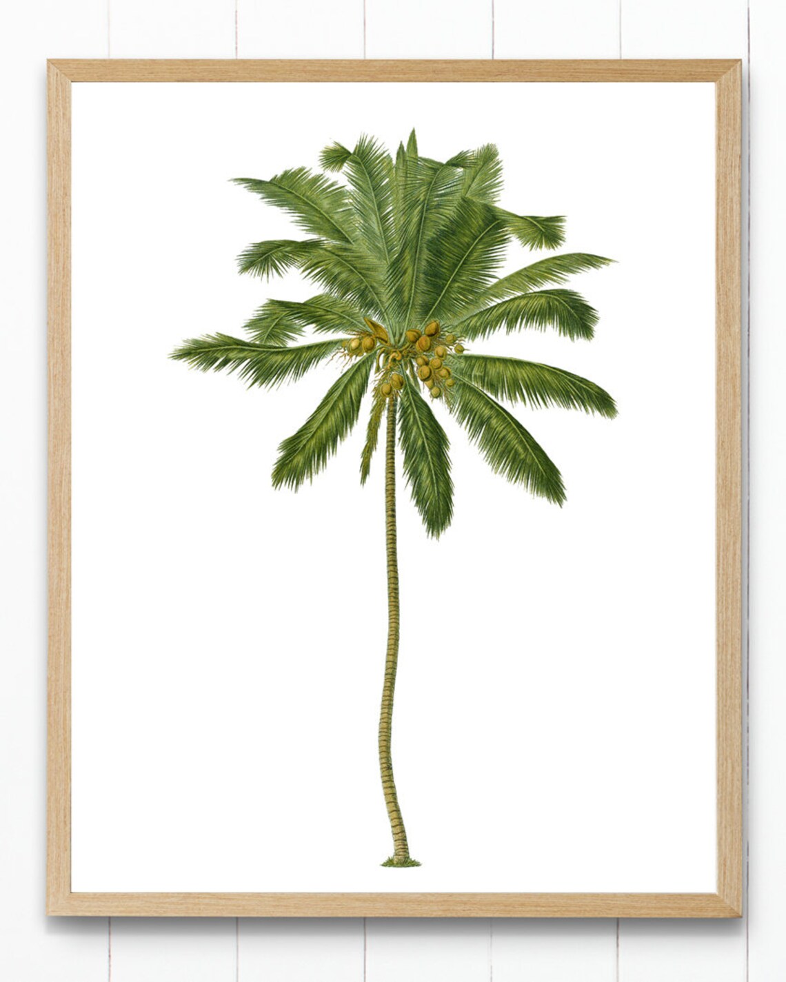 Coconut Palm Tree Vintage Illustration Art Print - Image 3