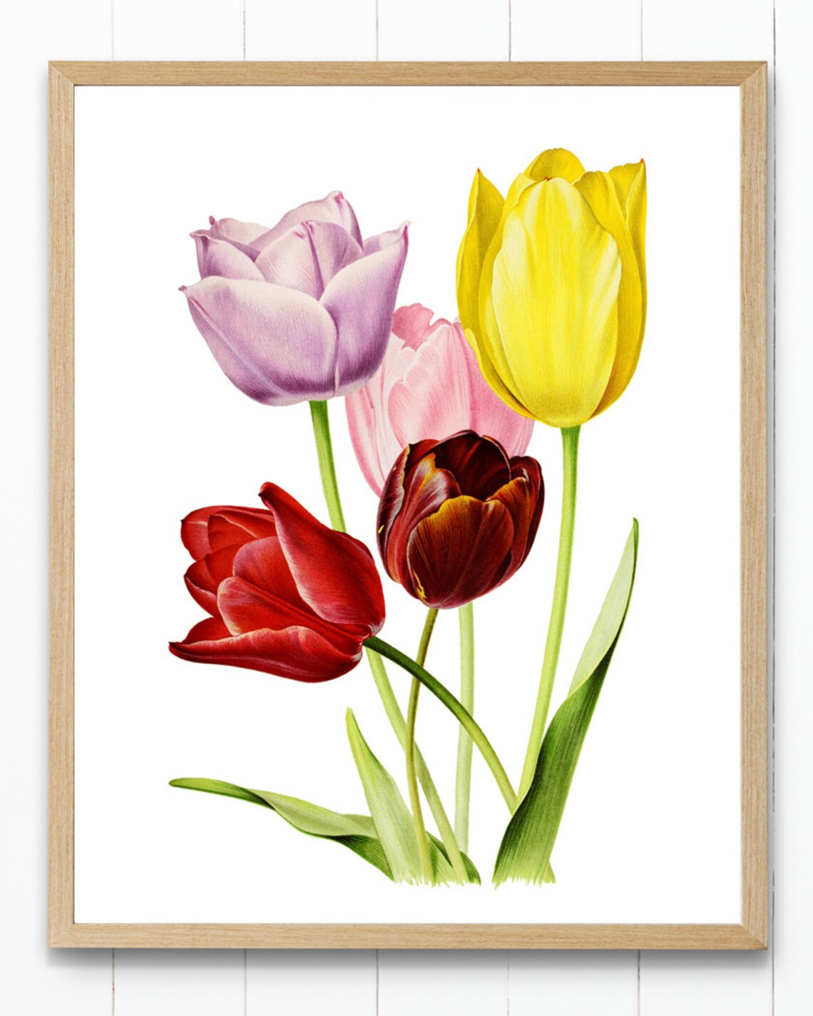 Vintage Tulip Art, Spring Flowers Botanical Print - Image 4