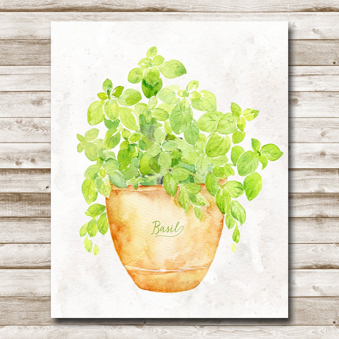 Basil Watercolor Herb in Terracotta Pot Kitchen Botanical Wall Poster - Image 4
