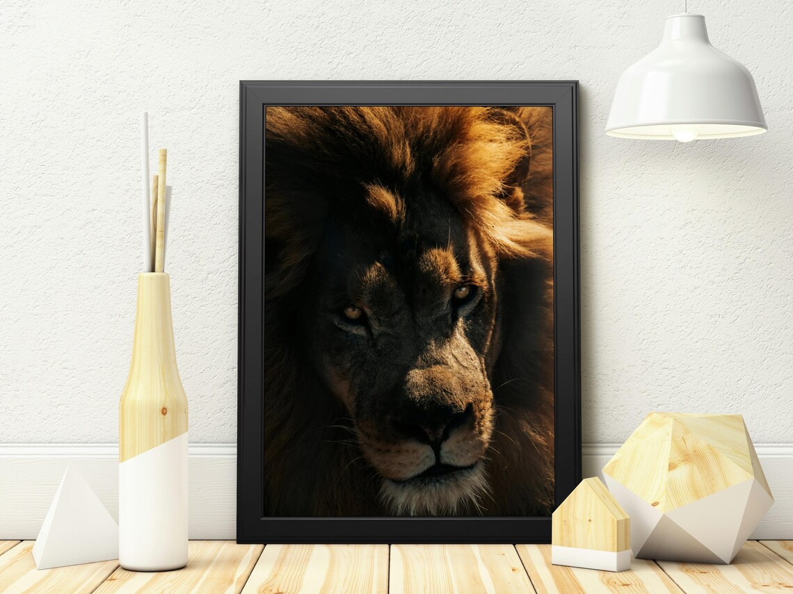 Majestic Lion Portrait, Wildlife Photography - Image 5