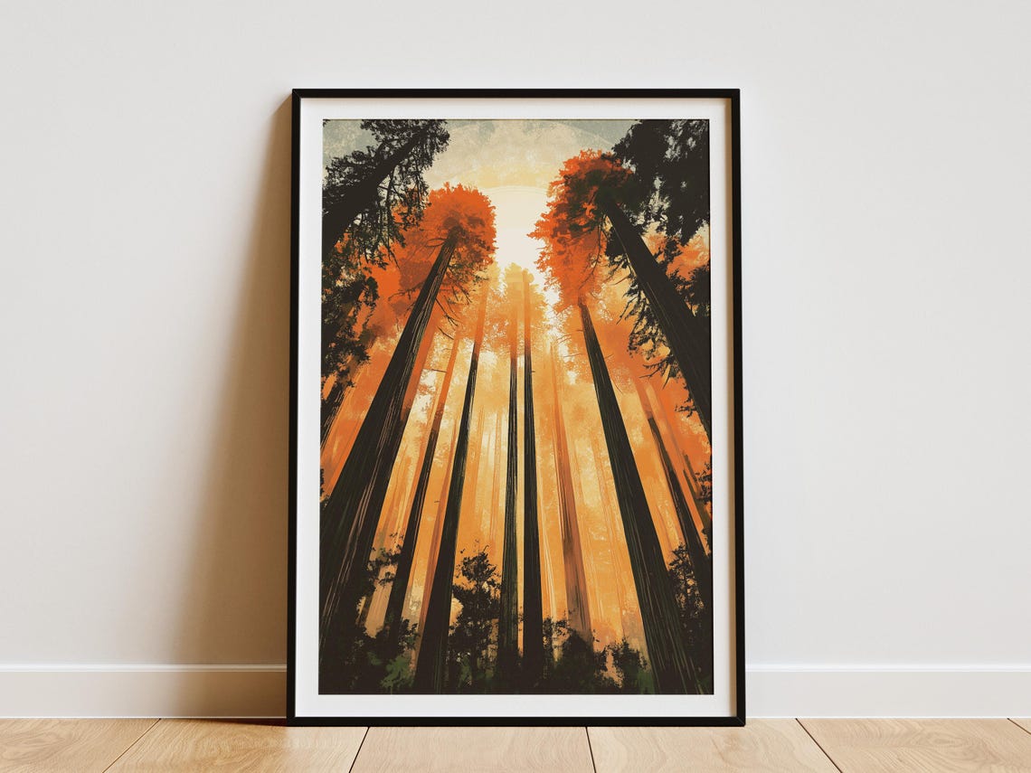 Towering Redwood Trees Orange Sunset Glowing Canopy Sky Poster