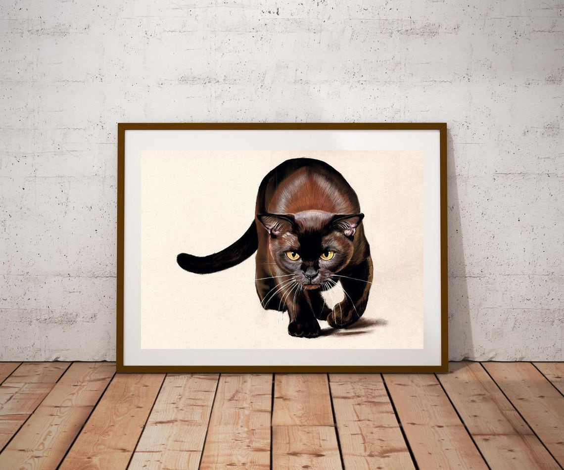 Cat Print Cat Poster Nursery Print Art Print Drawing Watercolor Poster Kids Room Girl Boy Playroom Decor Baby Room Animal Print Art