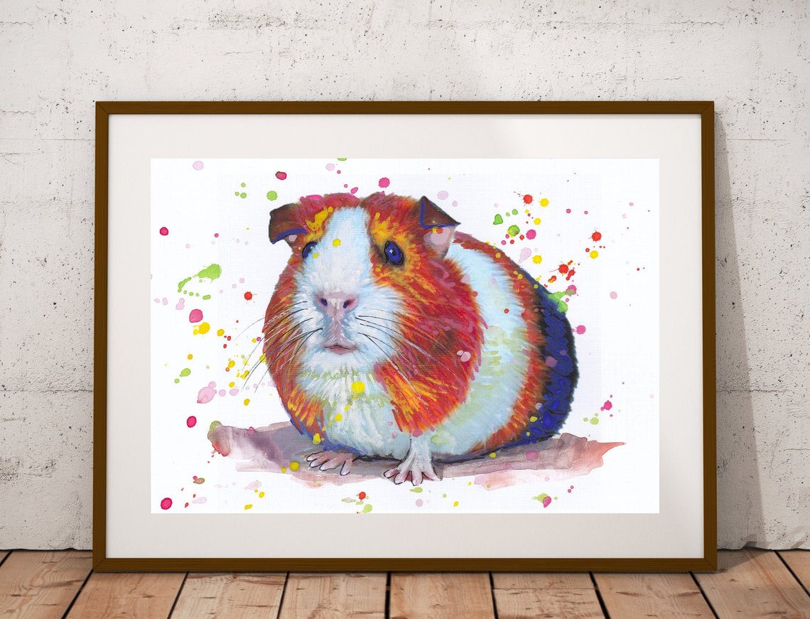 Orange and White Guinea Pig Colorful Watercolor Splash Poster
