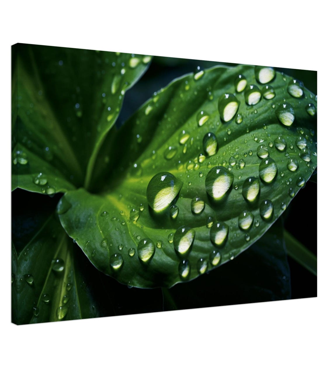Dewdrop on Green Leaf Macro Photography Poster for Calm Nature Spaces - Image 4