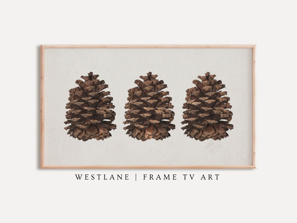 Three Brown Pine Cones Rustic Winter Botanical Still Life Poster