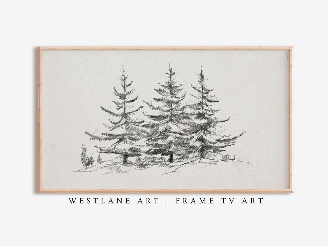 Minimalist Pine Tree Sketch Winter Evergreen Forest Drawing Poster