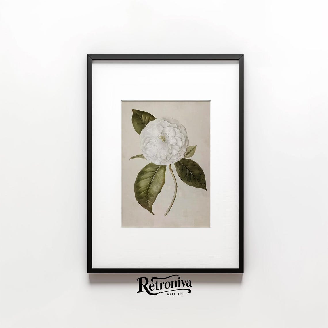 White Camellia Botanical Illustration Antique Flower Art Poster - Image 6