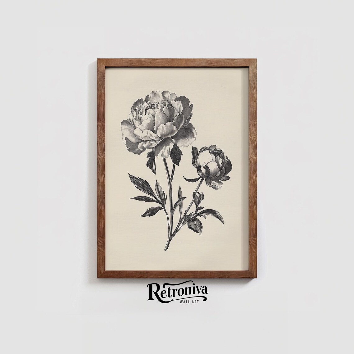 Vintage Peony Sketch Drawing, Botanical Art Print - Image 3