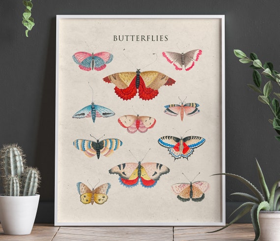 Modern Butterfly Poster Butterfly Prints Butterfly Wall Art Nature Posters Modern Nature Art
