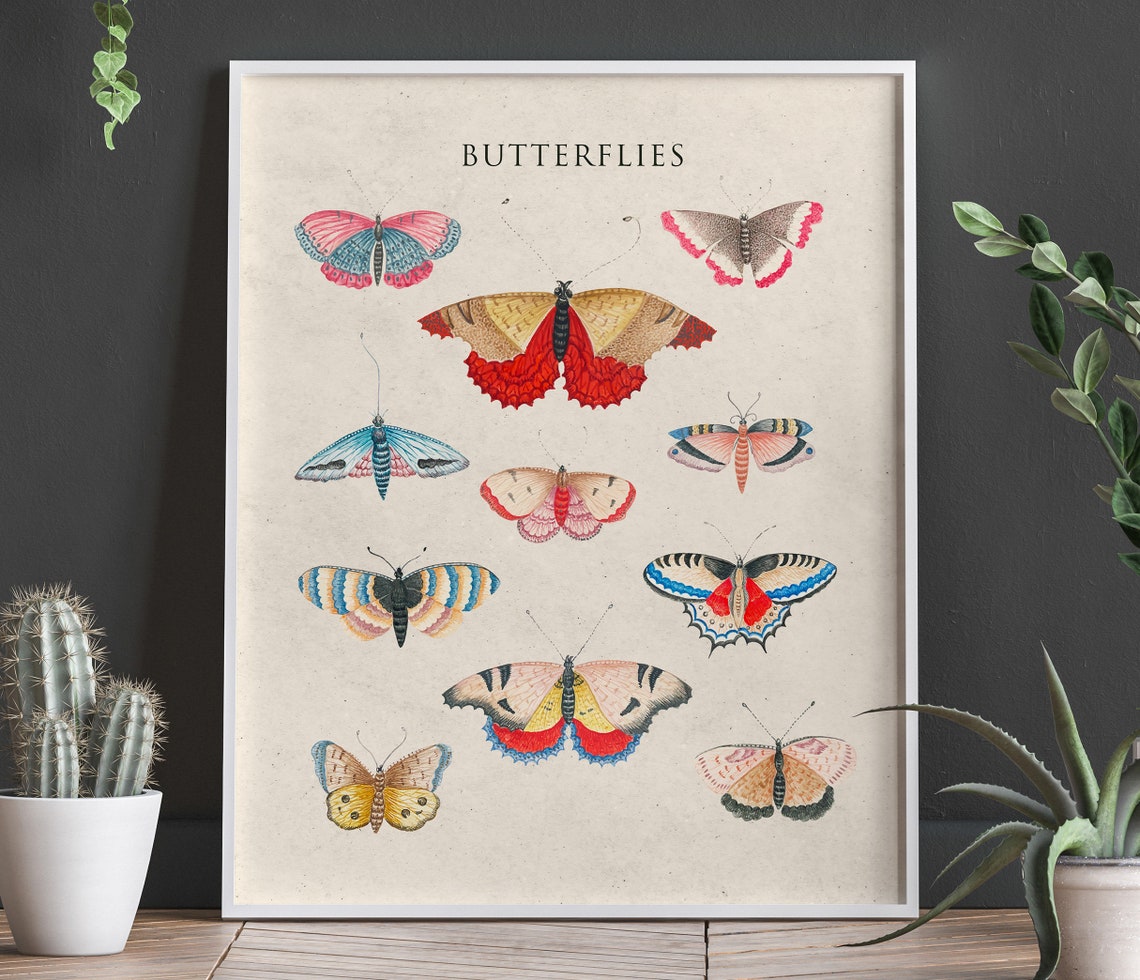Modern Butterfly Poster Butterfly Prints Butterfly Wall Art Nature Posters Modern Nature Art