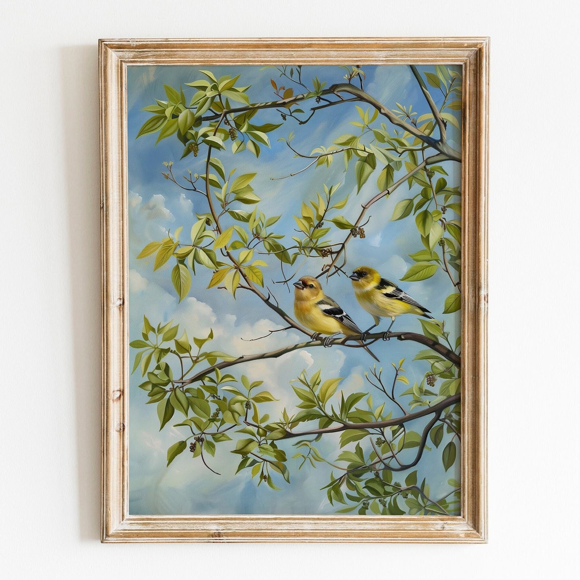 American Goldfinches Pair Spring Branch Blue Sky Bird Poster
