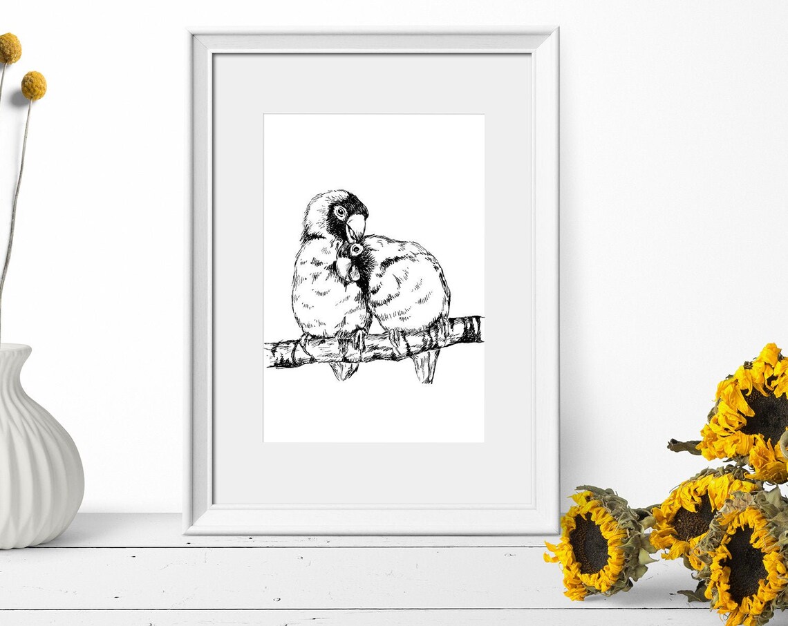 Lovebird Parrot Pair Ink Sketch Black White Bird Couple Print