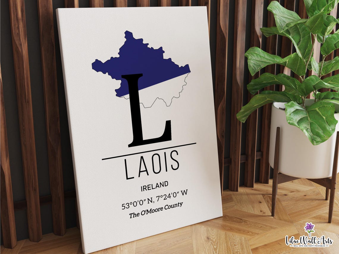 Laois Ireland Map Art GPS Coordinates County Travel Keepsake Poster - Image 3