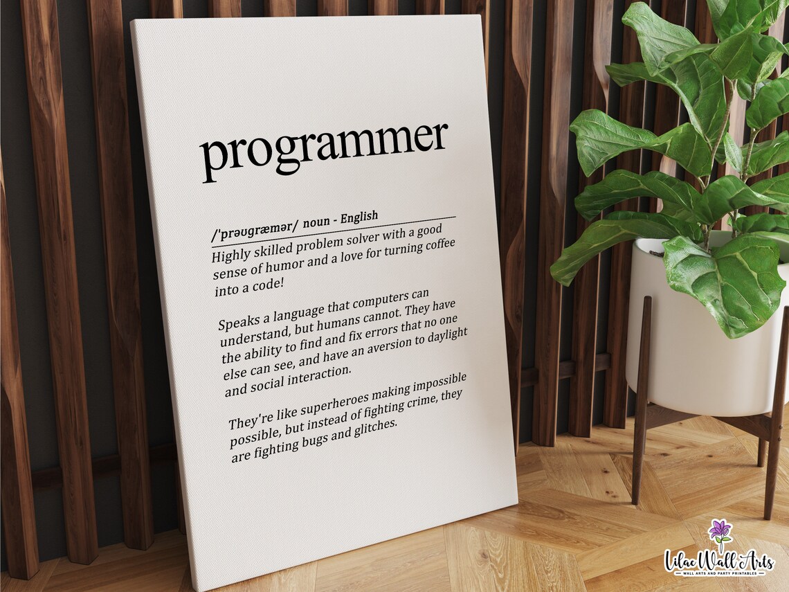 Funny Programmer Poster, Web Developer Humor Gift