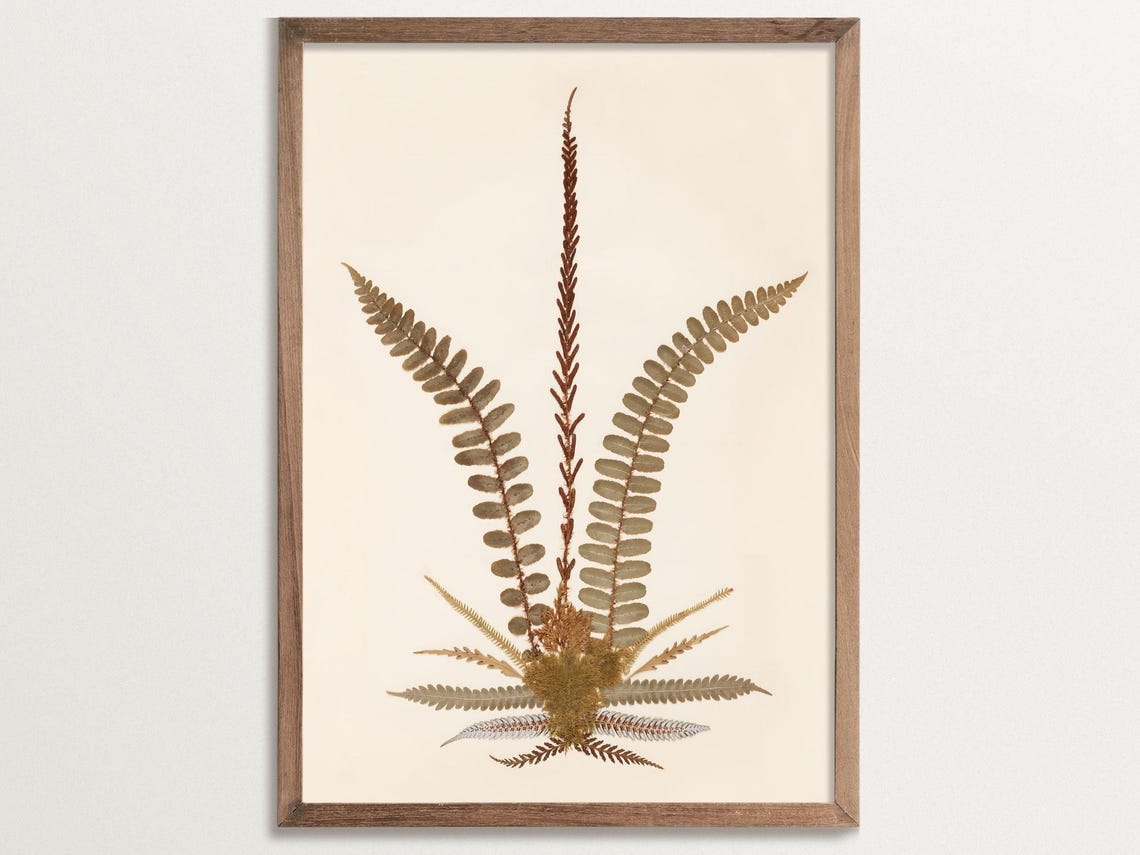 Antique Botanical Fern Print No 02, Vintage Decor