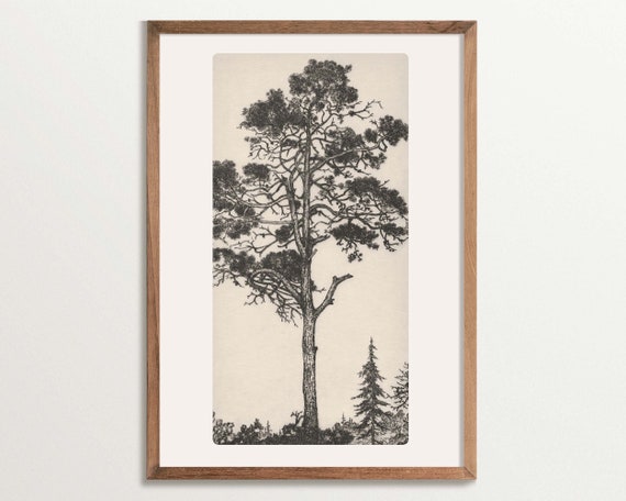Pine Tree Etching, Vintage Cottagecore Decor