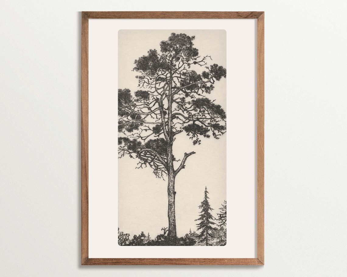 Pine Tree Etching, Vintage Cottagecore Decor