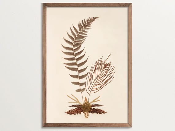 Fern Print No 01, Vintage Botanical Poster