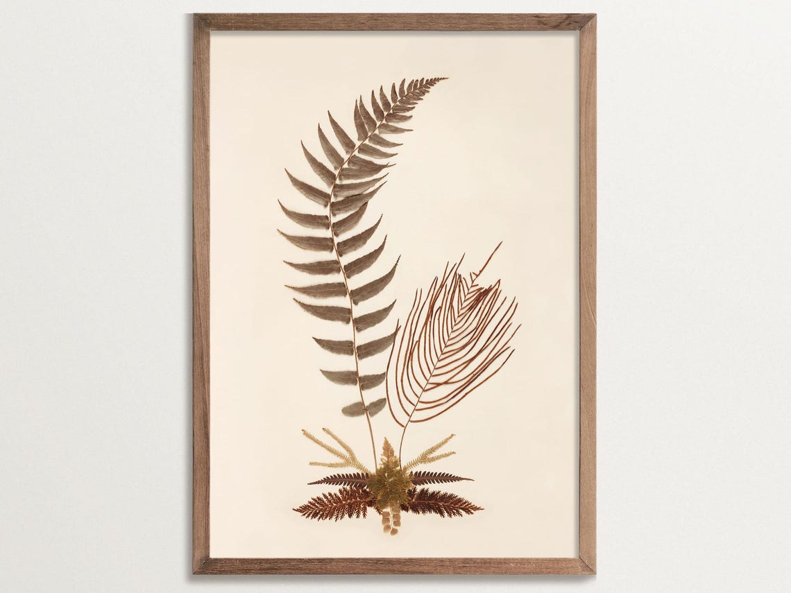 Fern Print No 01, Vintage Botanical Poster