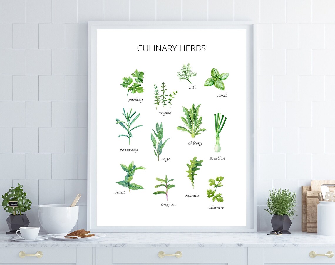 Herbs Kitchen Art Print, Culinary Botanical Decor