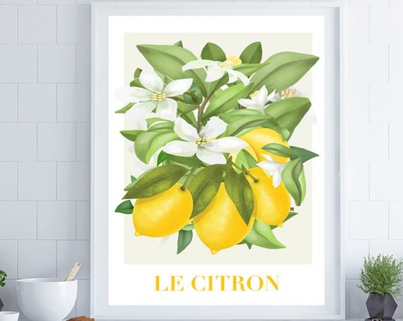 Citrus Fruit Print Fruit Wall Art French Wall Art Kitchen Wall Art Kitchen Print Home Decor Posters Wall Art Kitchen Decor