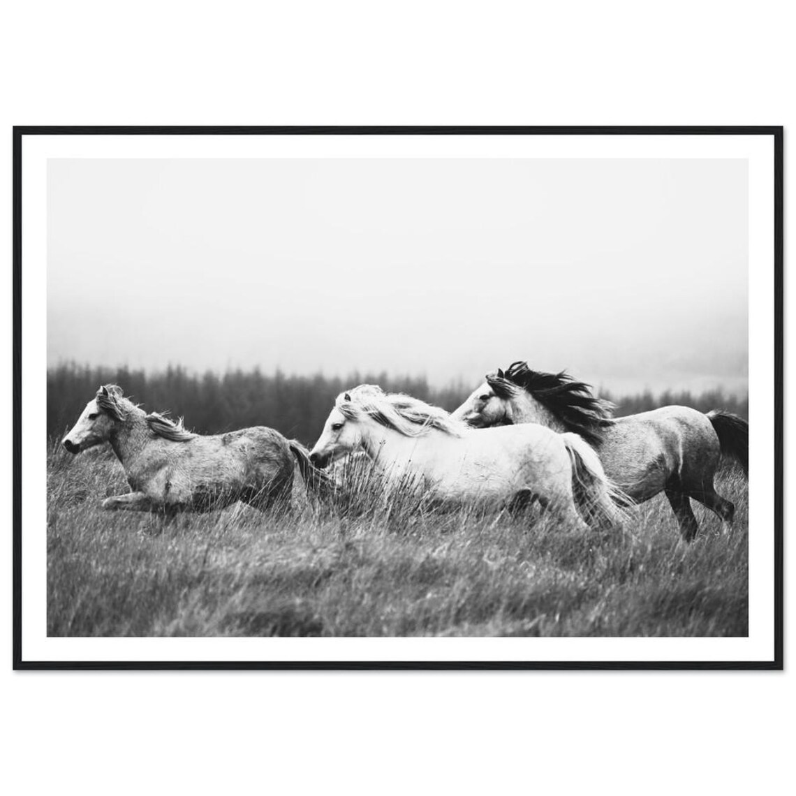 Wild Horses Mountain Black And White Art Print