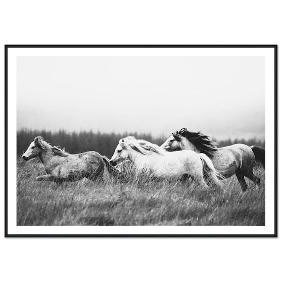 Wild Horses Mountain Black And White Art Print