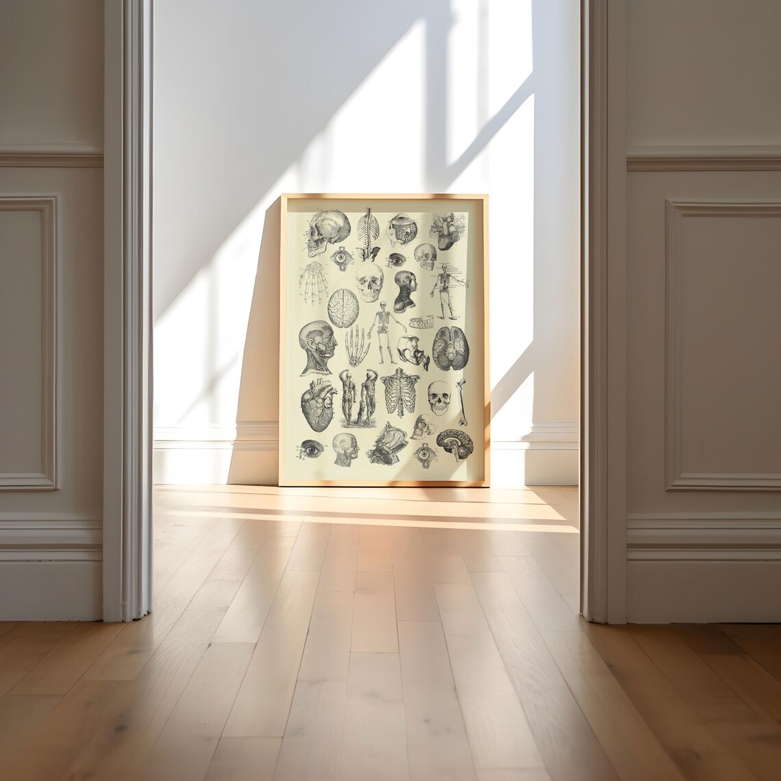 Vintage Human Anatomy Skeleton Bones Medical Chart Decor Poster - Image 4